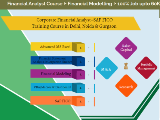The Rise of Remote Financial Analyst Jobs: Why an Finance Course is Key in 2025, 100% Job, Financial Modelling Course in Delhi